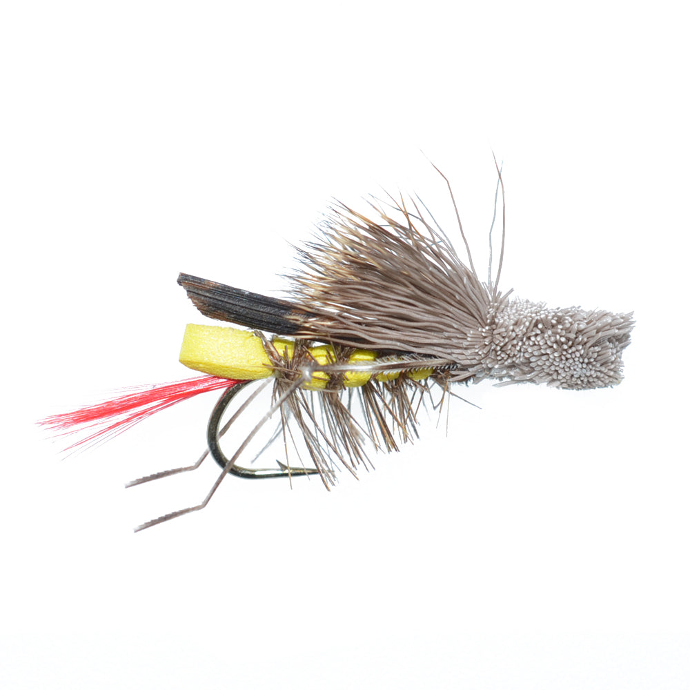 Trout Fly Assortment - Essential Western Dry and Nymph Fly Fishing Flies Collection - 2 Dozen Trout Flies with Fly Box